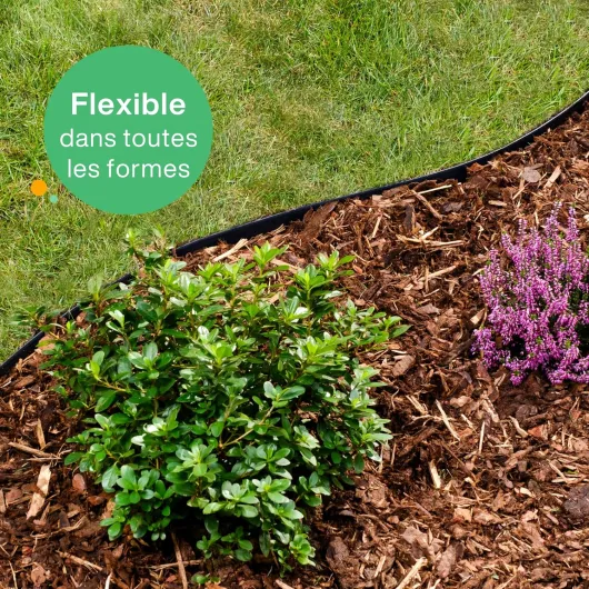 917EP4lppiL._AC_SL1500_