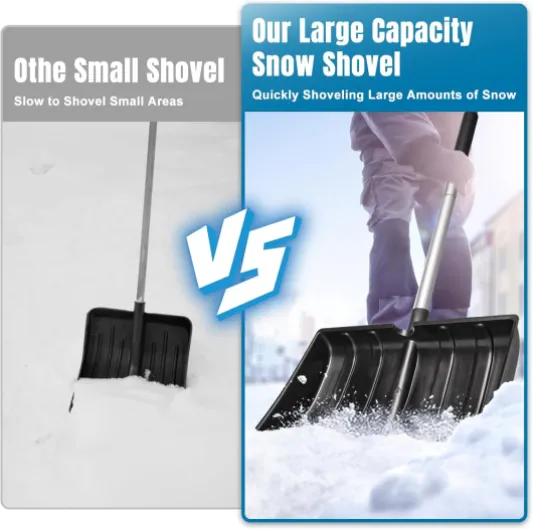 71k31cZ8c4L._AC_SL1500_