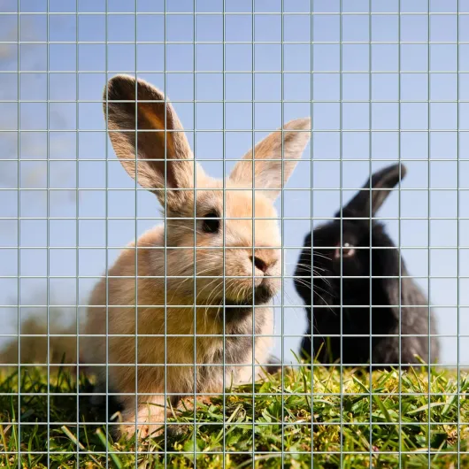 81lBb7gzXKL._AC_SL1500_