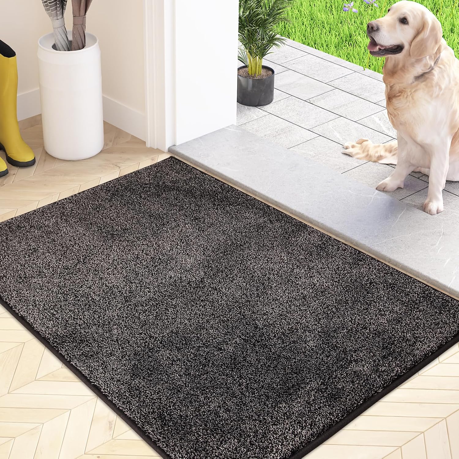 Paillasson Attrape-Poussière, Tapis de Sol Antidérapant Lavable en Machine avec Microfibres Douces Absorbantes pour Chien, Entrée, Porte et Couloir, Gris Charbon , 50 x 80 cm 50 x 80 cm (Rectangulaire) Gris Charbon