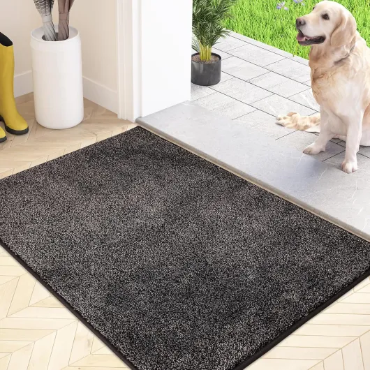 Paillasson Attrape-Poussière, Tapis de Sol Antidérapant Lavable en Machine avec Microfibres Douces Absorbantes pour Chien, Entrée, Porte et Couloir, Gris Charbon , 50 x 80 cm 50 x 80 cm (Rectangulaire) Gris Charbon