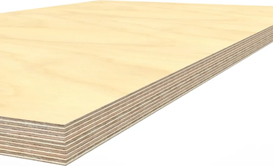 91p  zE1bvL._AC_SL1500_