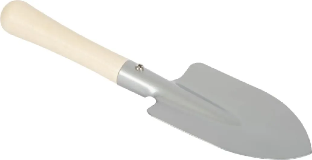 31Im3TEujXL._AC_SL1050_