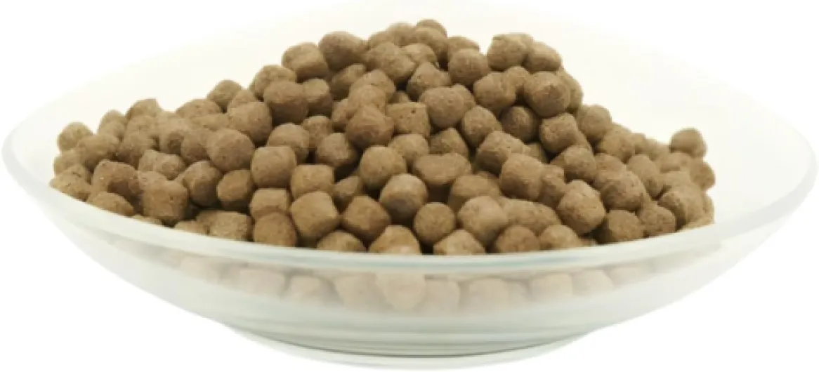 51datNqnctL._AC_SL1500_