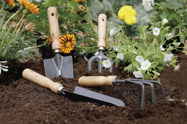 81t6Wm7Fi7L._AC_SL1500_