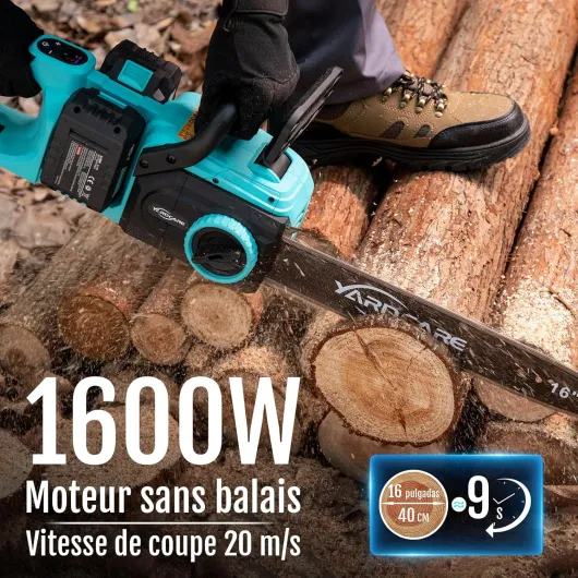 81Wg1FjigXL._AC_SL1500_