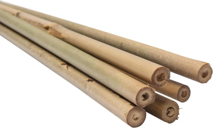 61qp4TjspVL._AC_SL1500_