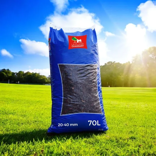 81QlHhi87cL._AC_SL1500_