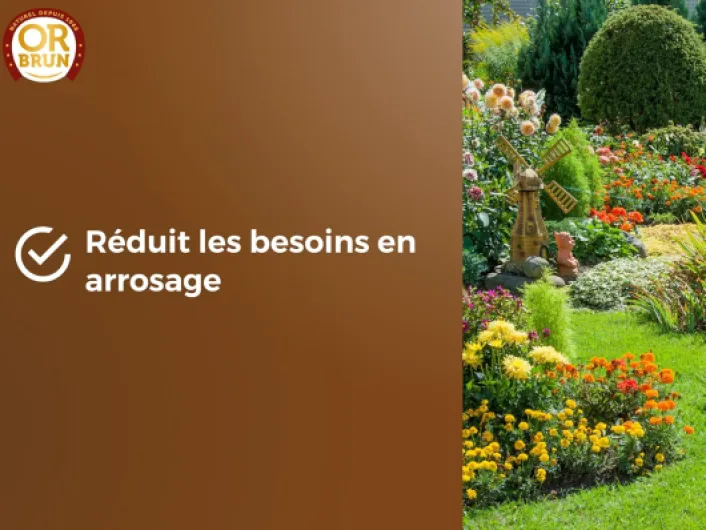 81iUwTQstGL._AC_SL1500_