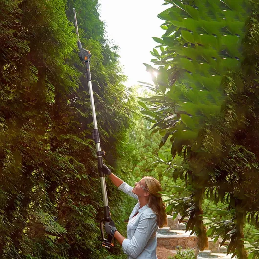 81DxUCVLHSL._AC_SL1500_