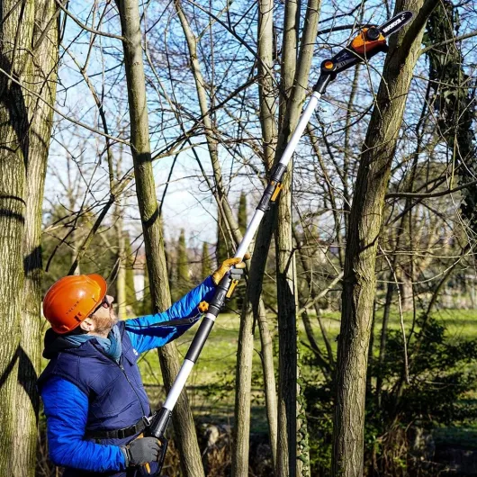 81r6wBVE85L._AC_SL1000_