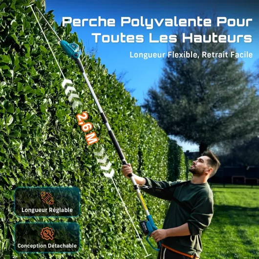 81u7PRrathL._AC_SL1500_