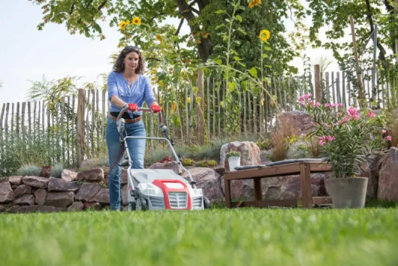 71VDpO7K-KL._AC_SL1000_