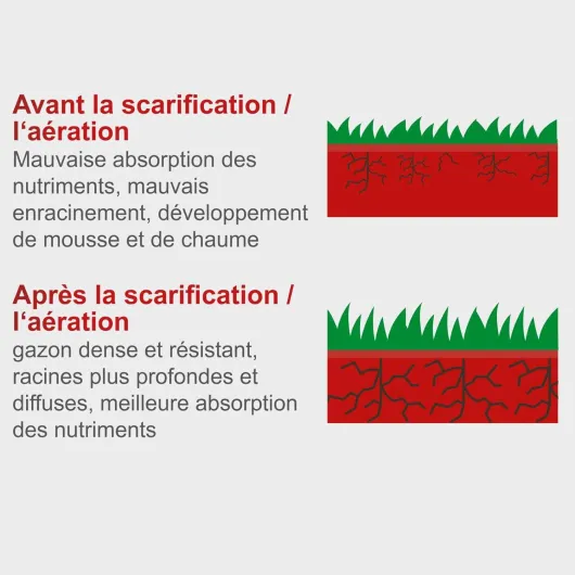 613DJEoNKhL._AC_SL1500_