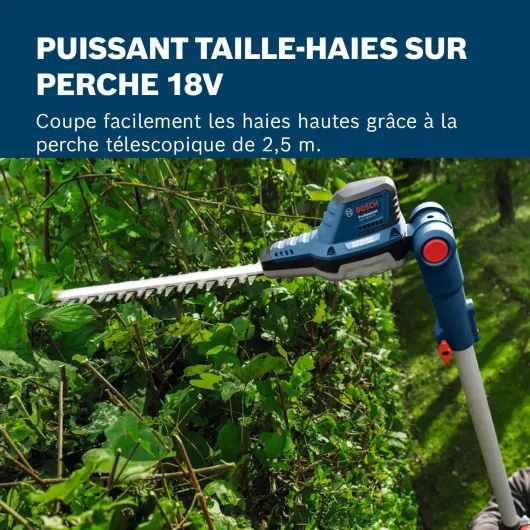 81cDw8i053L._AC_SL1500_