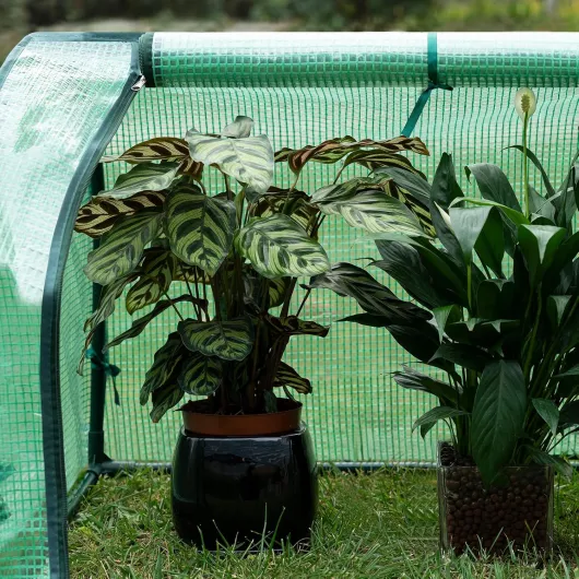 81puIen25HL._AC_SL1500_