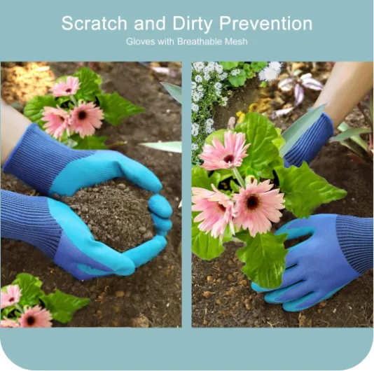 81oJdpuNJKL._AC_SL1500_