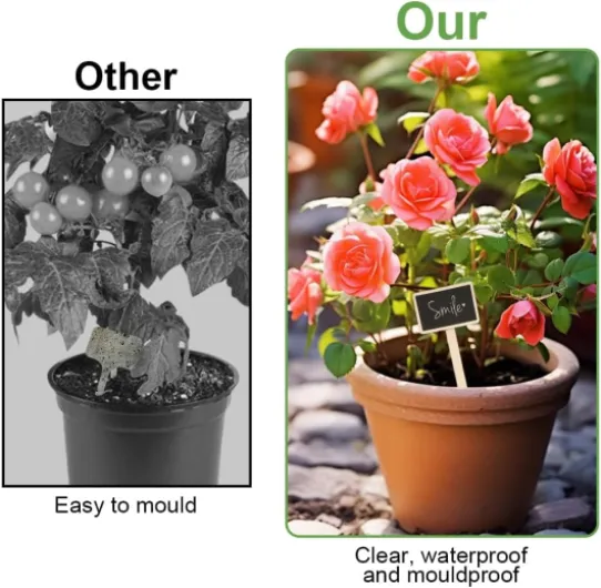 610gtH65gnL._AC_SL1000_