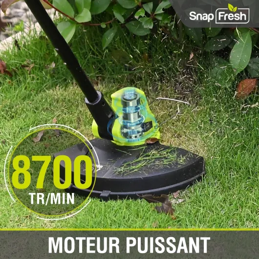 81oiVgx-7wL._AC_SL1500_