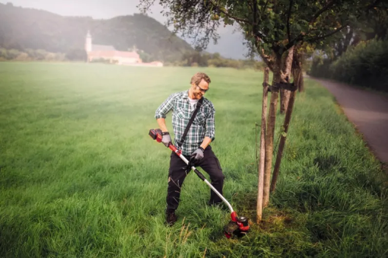 81Qrh P9RcL._AC_SL1500_