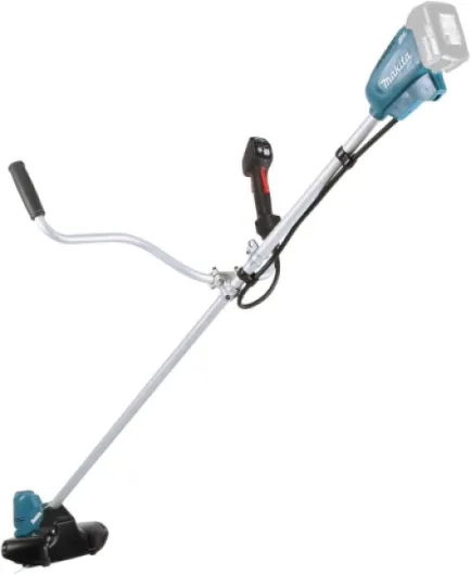 41YjNZ1kRWL._AC_SL1000_