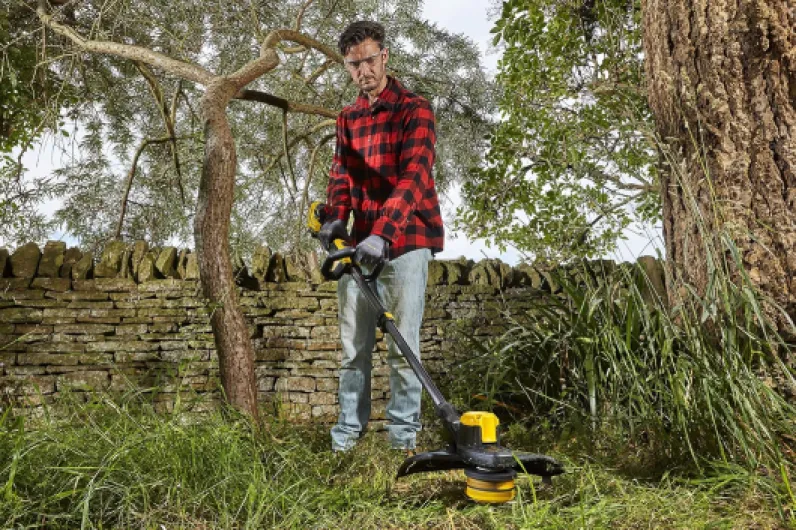 A101Tj6aidL._AC_SL1500_