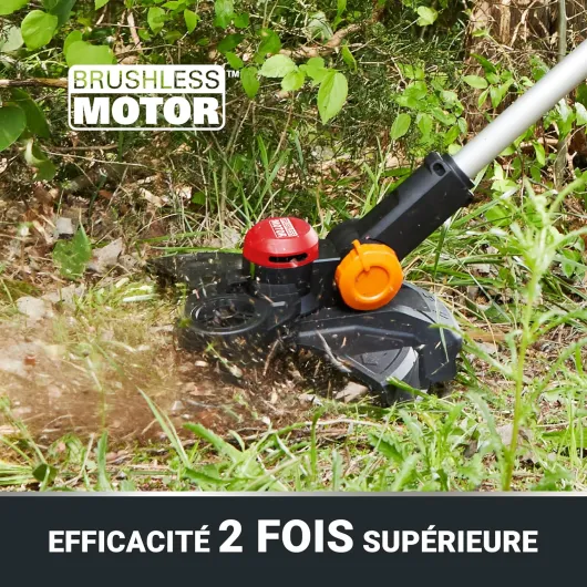 91lSHYOt6RL._AC_SL1500_