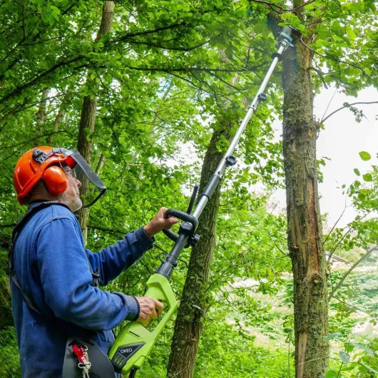 81KNfRpM7mL._AC_SL1000_