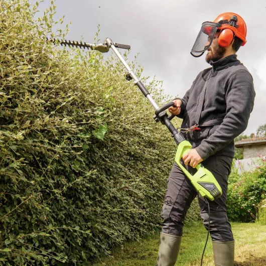 81dGiu2cDKL._AC_SL1000_