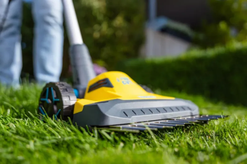 61TXRoosysL._AC_SL1500_