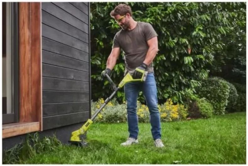 61cvy9wcHeL._AC_SL1000_