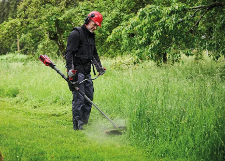 81UQQT83ziL._AC_SL1500_