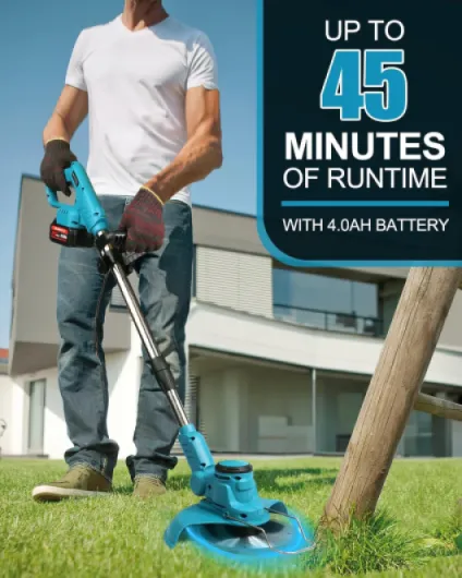 71KCijx3Q4L._AC_SL1500_