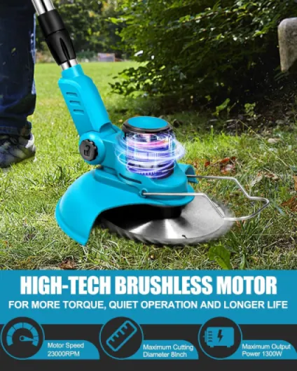 81gMw2tbw6L._AC_SL1500_