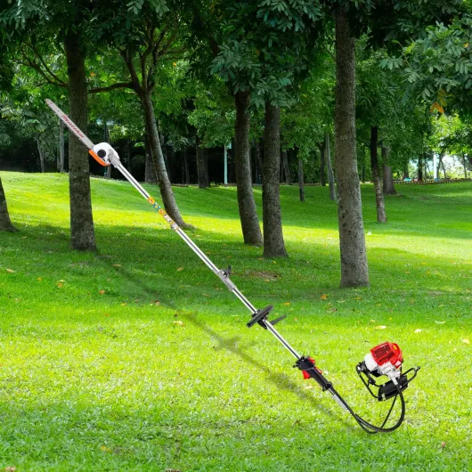 91kafYbnyTL._AC_SL1500_