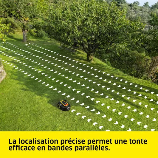 91NbrAIHqYL._AC_SL1500_