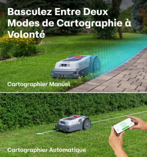 81EbBcK-x3L._AC_SL1500_