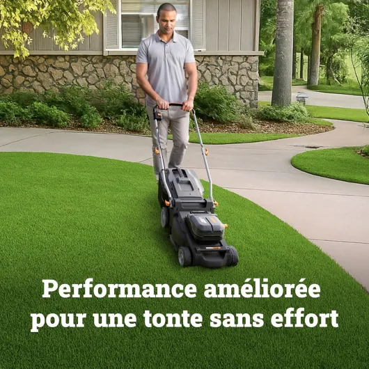 81tcHgrDauL._AC_SL1500_