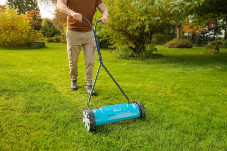 91m1OaYO4ZL._AC_SL1500_