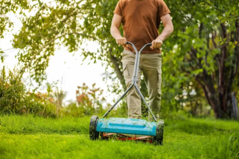 819r-KrhbaL._AC_SL1500_