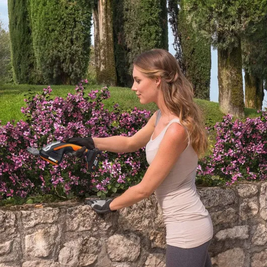 81OqwoupWdL._AC_SL1000_