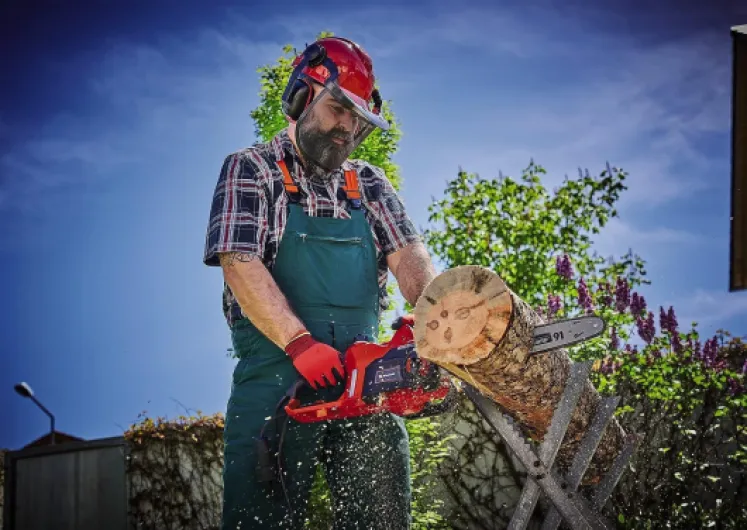 Tronçonneuse électrique GC-EC 2040 (puissance de 2 000 W, guide-chaîne de longueur 40 cm, tension de chaîne sans outil, vitesse maximale de la chaîne de 15,5 m/s) Nouvelle Version