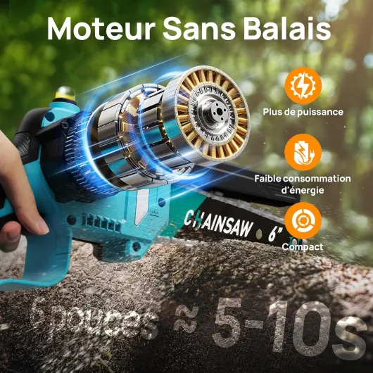 81wgACCQP0L._AC_SL1500_