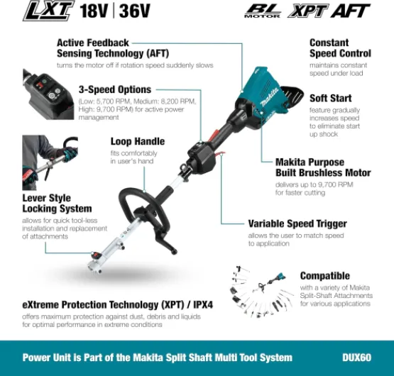 819c2kq-1rL._AC_SL1500_