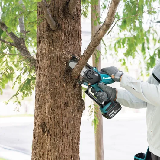 81G4Q7LxtWL._AC_SL1500_