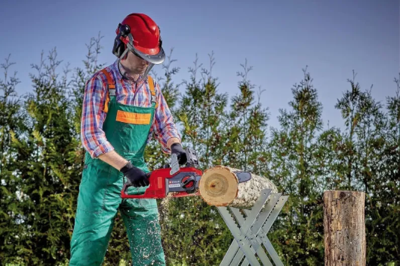 81RdxAzCjHL._AC_SL1500_