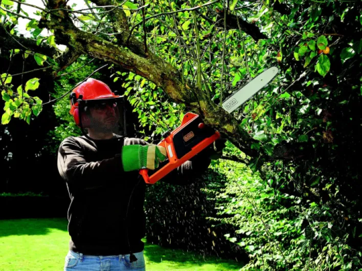 BLACK+DECKER Tronçonneuse filaire - Réservoir de 100 ml transparent - Griffe 6 dents - Interrupteur double commande, Orange, 40 cm 40 cm Orange