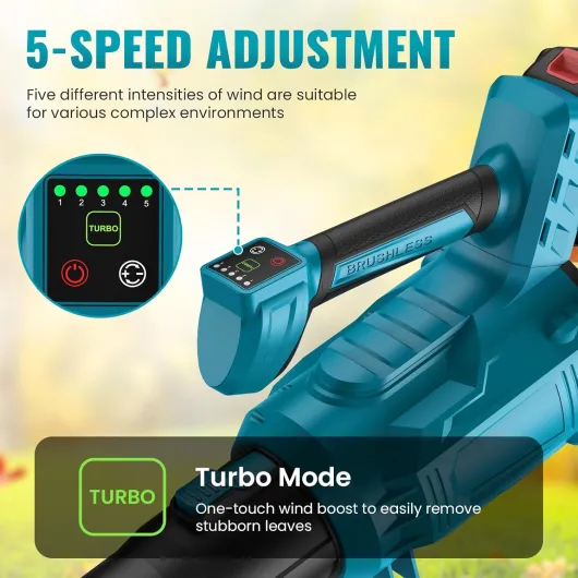 71kz LDd6gL._AC_SL1500_