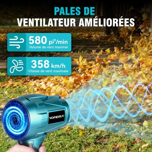 81nyn2oTq3L._AC_SL1500_