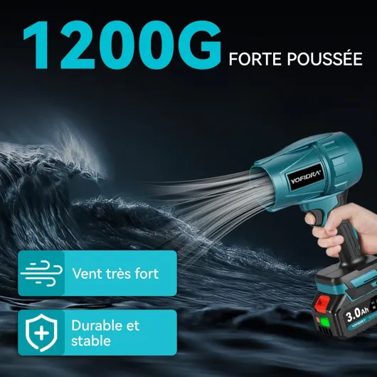 71N-cn6J4ZL._AC_SL1500_